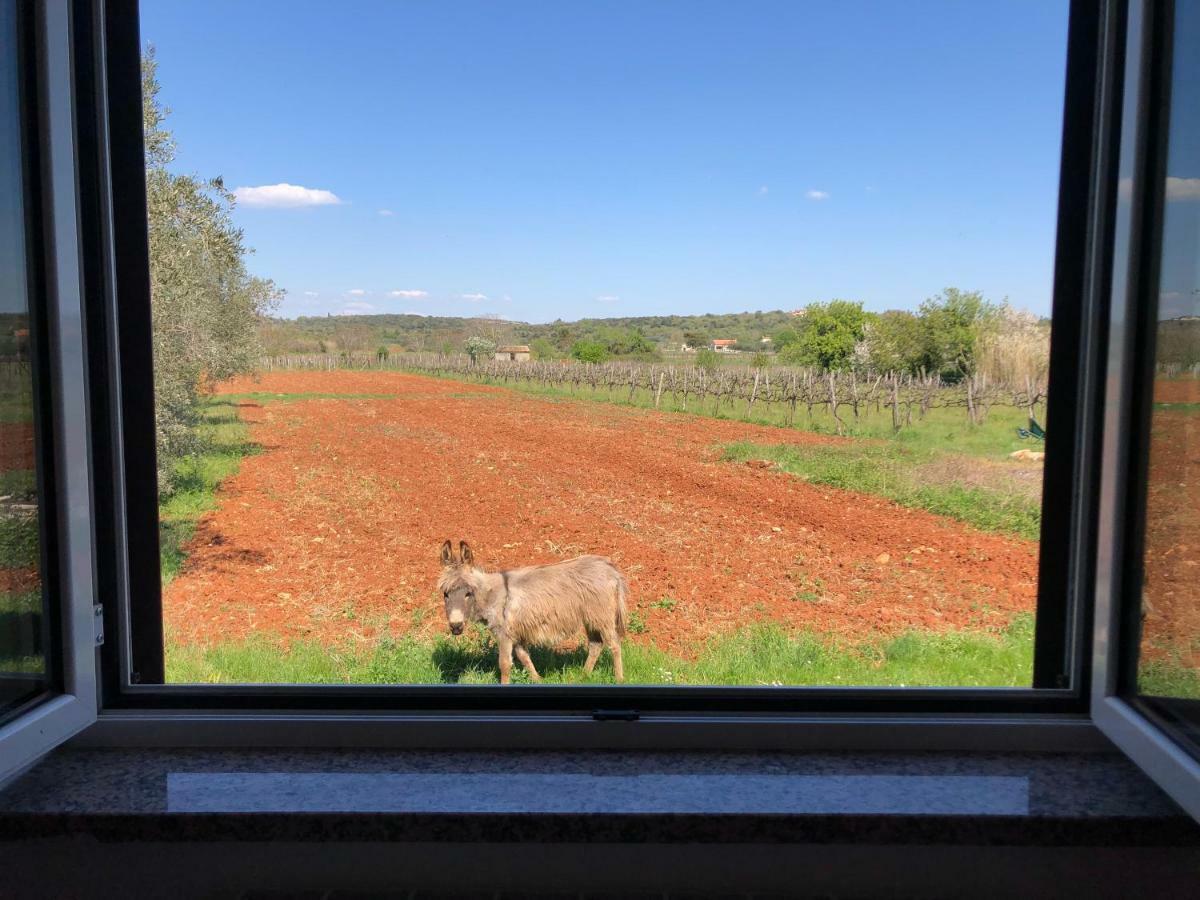 Apartments Bodi Ρόβινι Εξωτερικό φωτογραφία